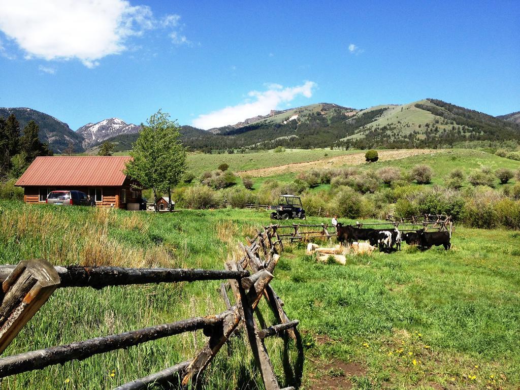 Grandpa'S Cabin جاردينر المظهر الخارجي الصورة